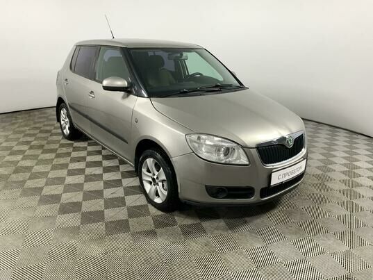 Skoda Fabia, 2009 г., 261 124 км