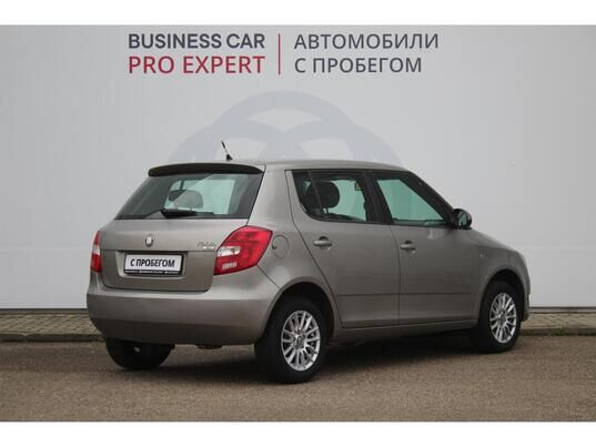 Skoda Fabia, 2010 г., 153 820 км
